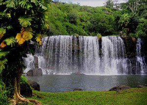 secret-waterfall-day-1-kauai-united-states+13015446069-tpfil02aw-11332