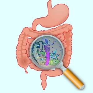 image_5956e-Gut-Microbiota